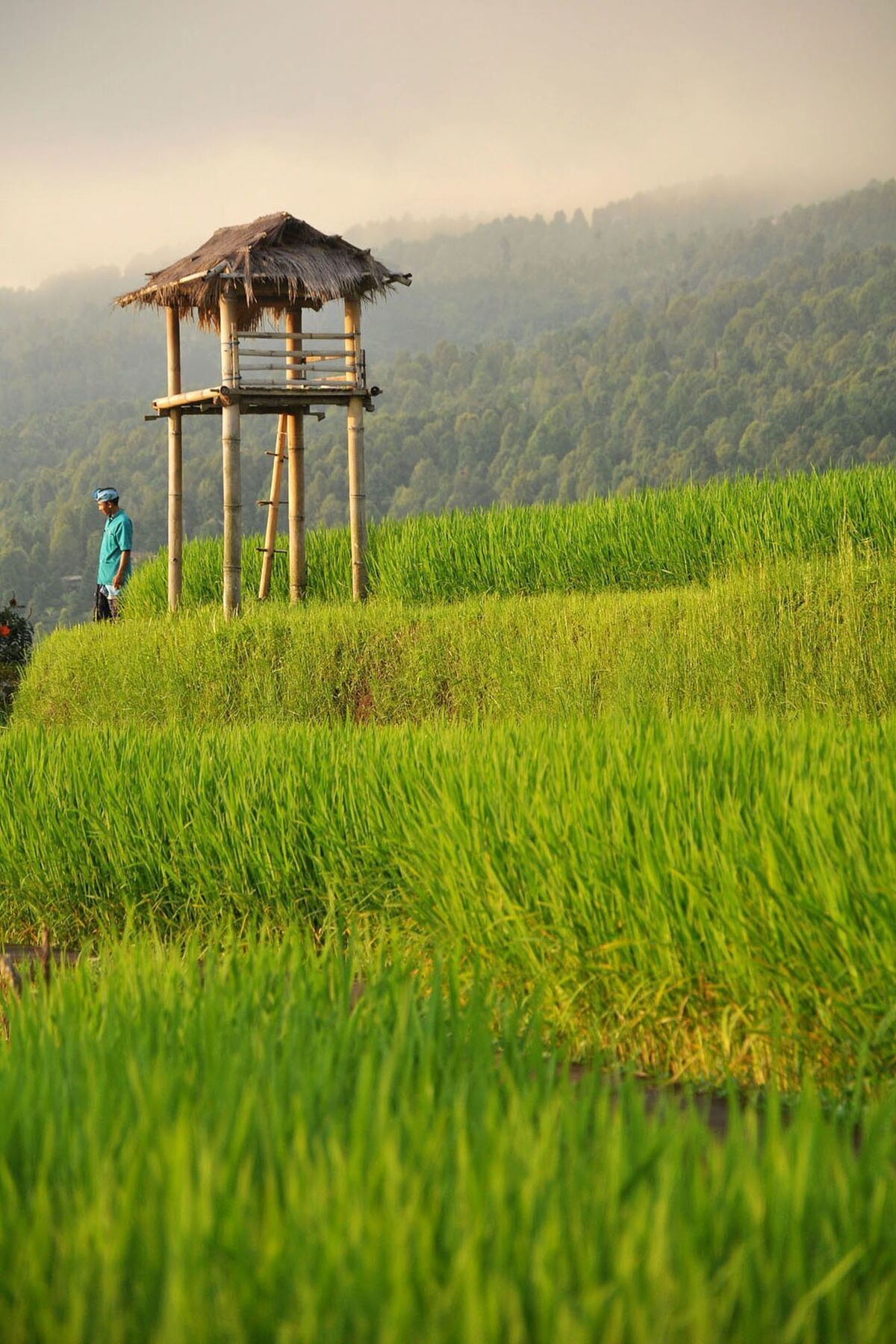 Puri Lumbung Cottages Gobleg  Экстерьер фото