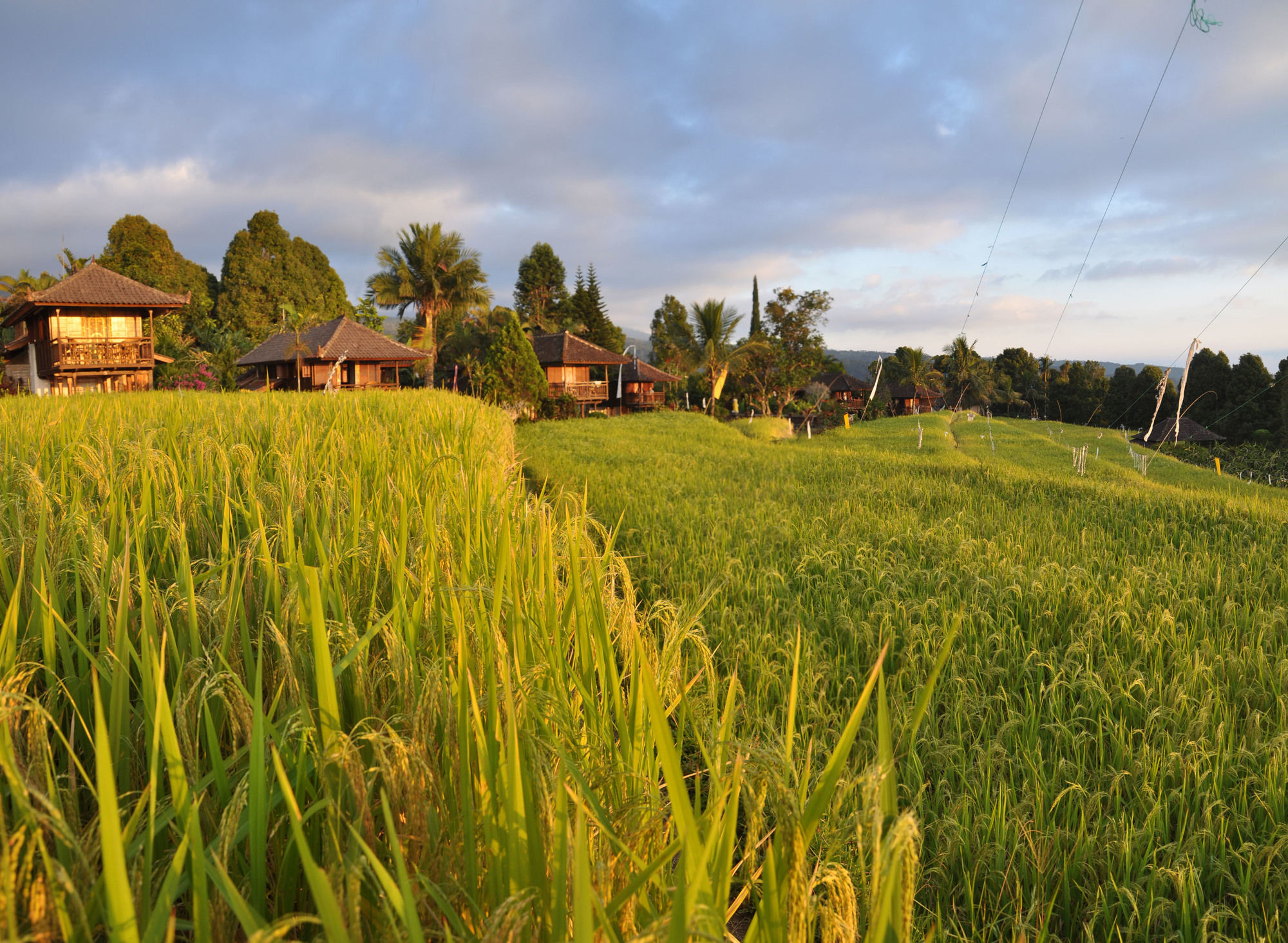 Puri Lumbung Cottages Gobleg  Экстерьер фото