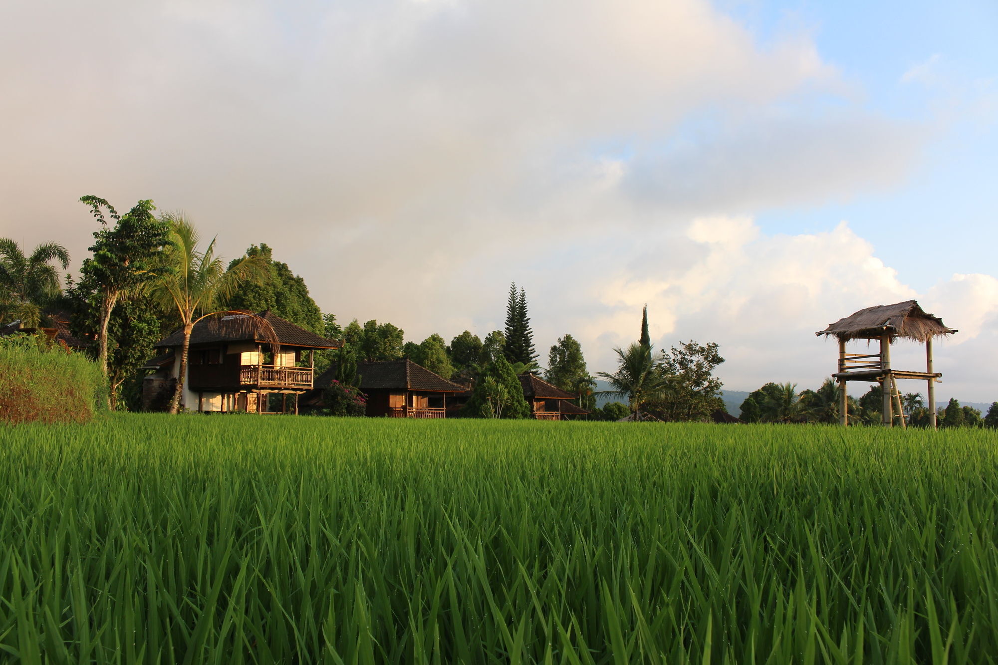 Puri Lumbung Cottages Gobleg  Экстерьер фото