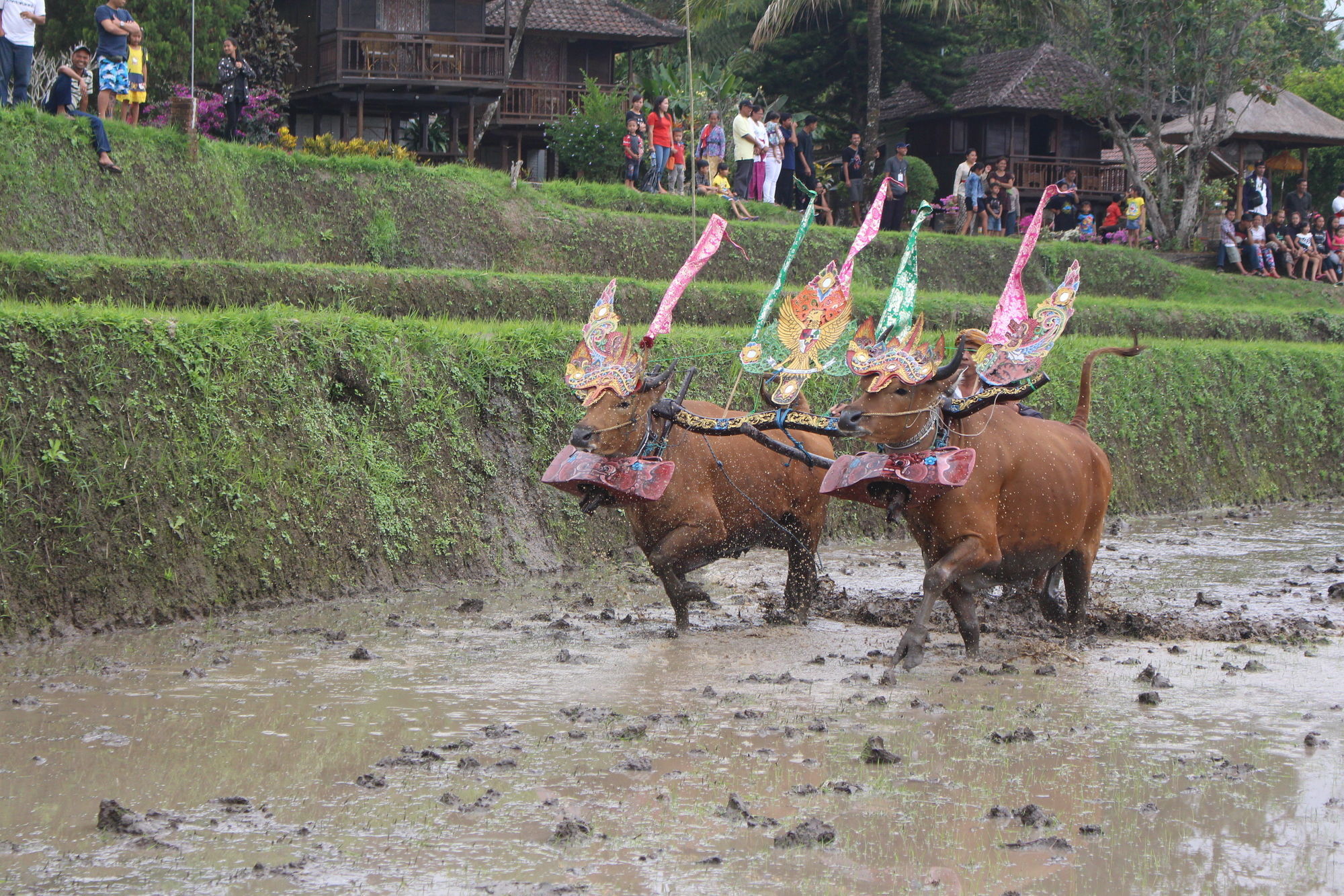 Puri Lumbung Cottages Gobleg  Экстерьер фото