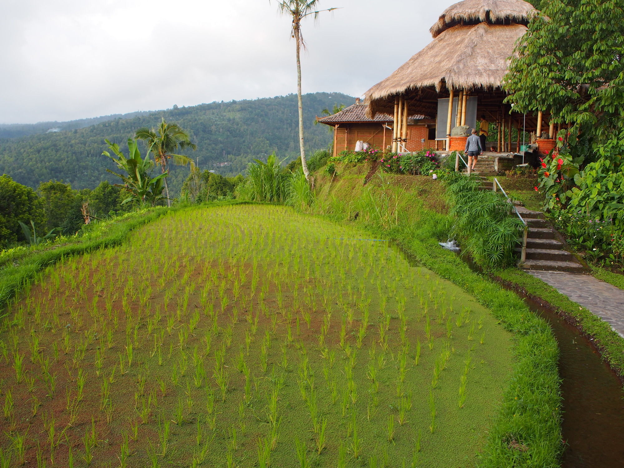Puri Lumbung Cottages Gobleg  Экстерьер фото